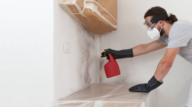 Professional Bathroom Mold Removal technician working in Gladstone, NJ
