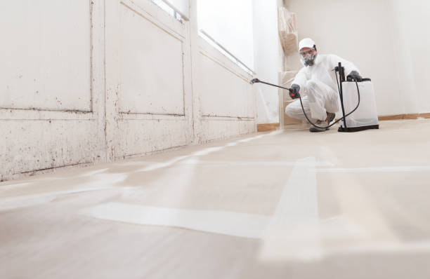 24/7 Emergency Bathroom Mold Removal experts in Gladstone, NJ